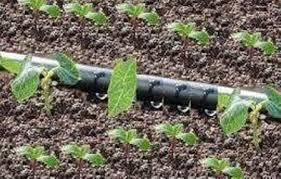 نوار تیپ آبیاری