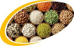 راهنمای خرید بذر راهنمای خرید بذر