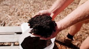 زمان و مقدار مصرف کود ورمی کمپوست و موارد استفاده - رویال کشت