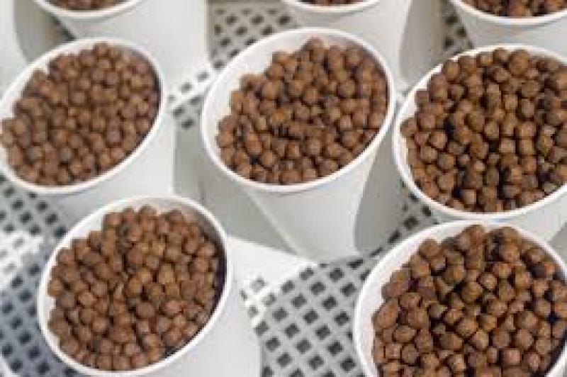 خوراک آبزیان