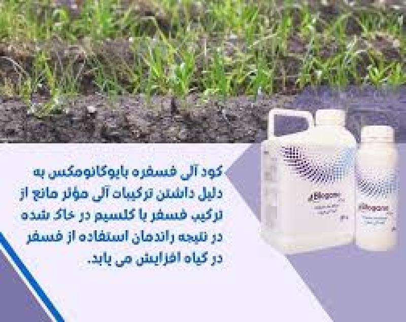 کودمایع آلی و کودهای ارگانیک - کود آلی فسفر مایع بایوگانو