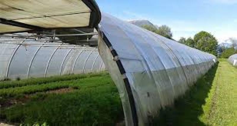 نایلون گلخانه ترکیه