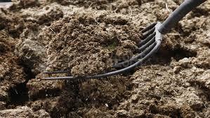 چگونه از منابع گیاهی کود آلی بسازیم؟