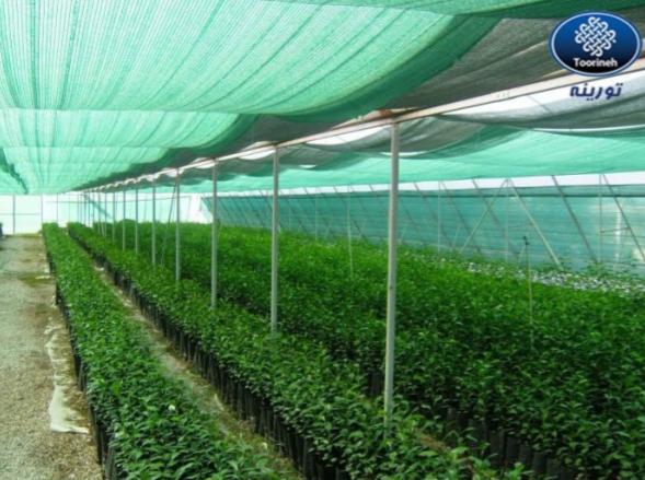 کاربرد سایبان گلخانه یا توری شید در گلخانه ها