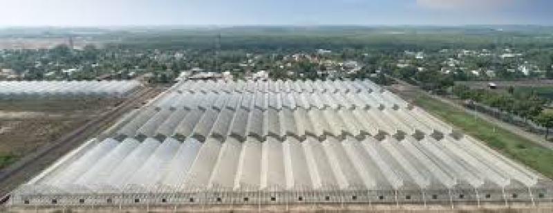 انواع گلخانه