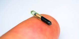 میکروچیپ چیست و کاشت برای حیوانات خانگی