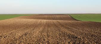 بهترین خاک کشاورزی 