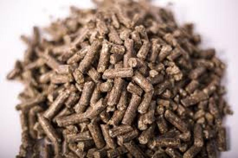 راهنمای خرید انواع مکمل دام و طیور