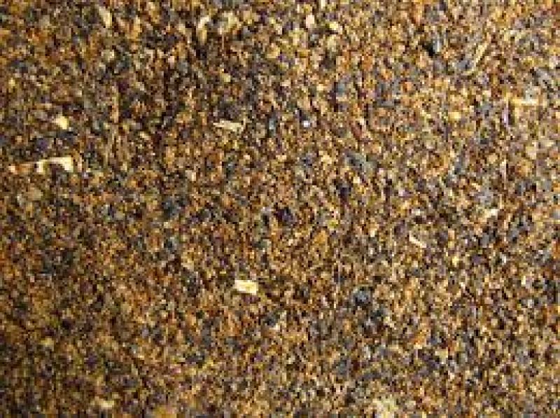 علوفه کلزا در تغدیه دام