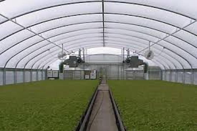 بهترین بخاری گلخانه