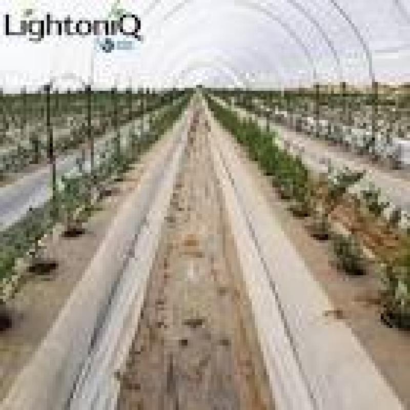 بهترین کفپوش مناسب برای گلخانه