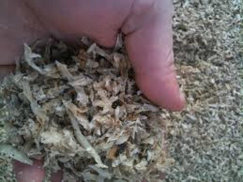 خواص تفاله چغندر قند برای دام؛ 5 خواص شگفت انگیز تفاله چغندر قند