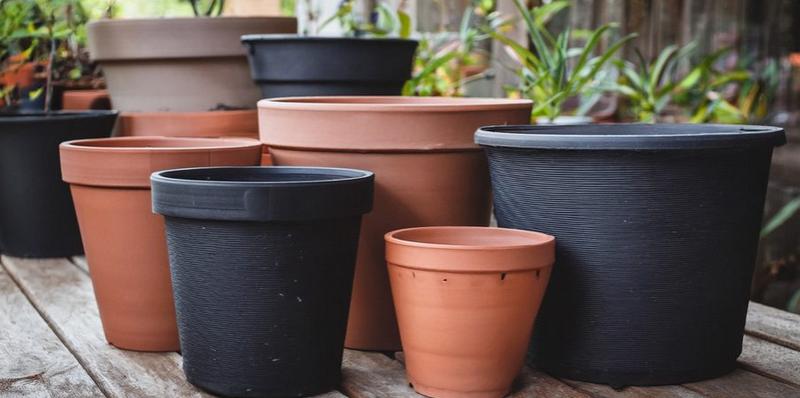 گلدان پلاستیکی