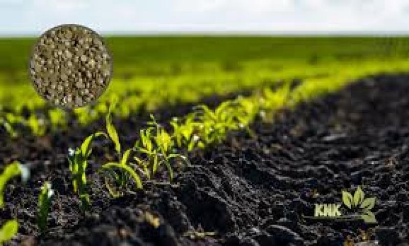 گوگرد گرانوله پتروشیمی تهران