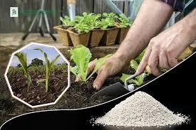 سولفات آهن چیست؟ [کاربرد فوق العاده کود سولفات آهن]