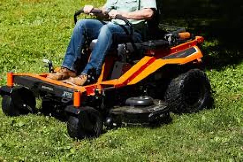 با انواع علف زن و ویژگیهای آنها بیشتر آشنا شوید