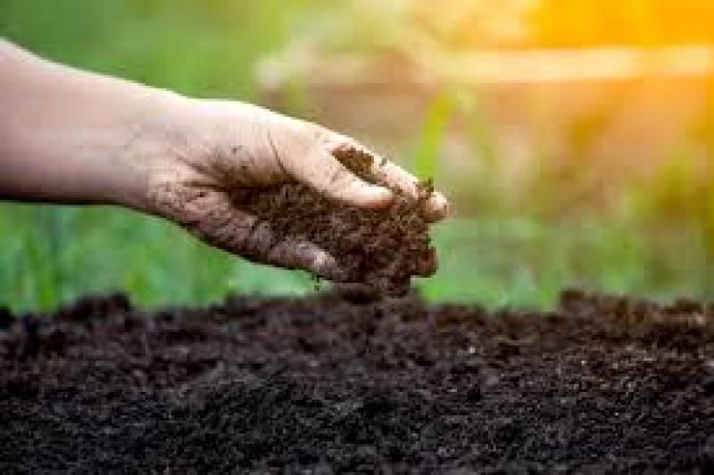 راهنمای جامع انتخاب کود