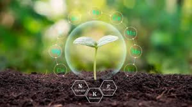 چگونگی استفاده از کودهای شیمیایی در کشورهای جهان