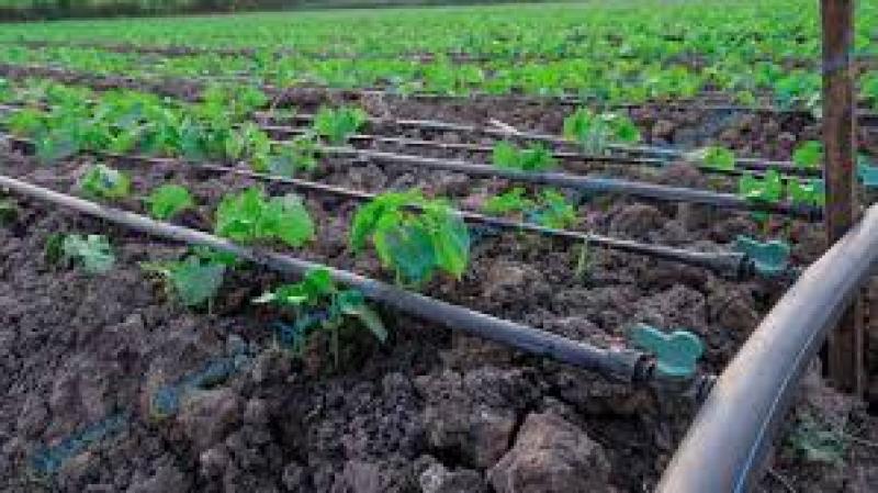 آبیاری قطره ای ، طرزکار ، مزایا و معایب آن