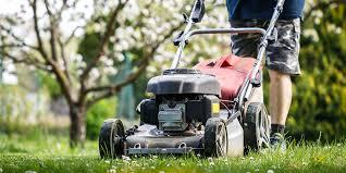 راهنمای خرید ابزار باغبانی بنزینی