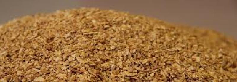 اهمیت کنجاله سویا در تغذیه دام و طیور