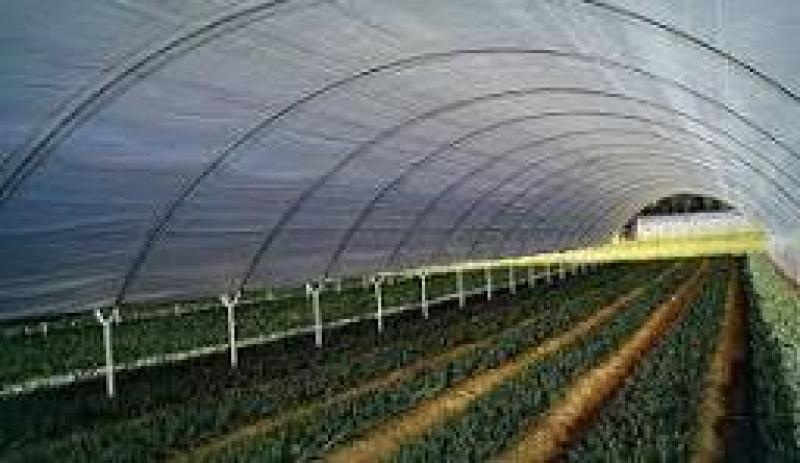 نایلون کشاورزی؛ خرید نایلون کشاورزی (پلاستیک کشاورزی) با بهترین قیمت