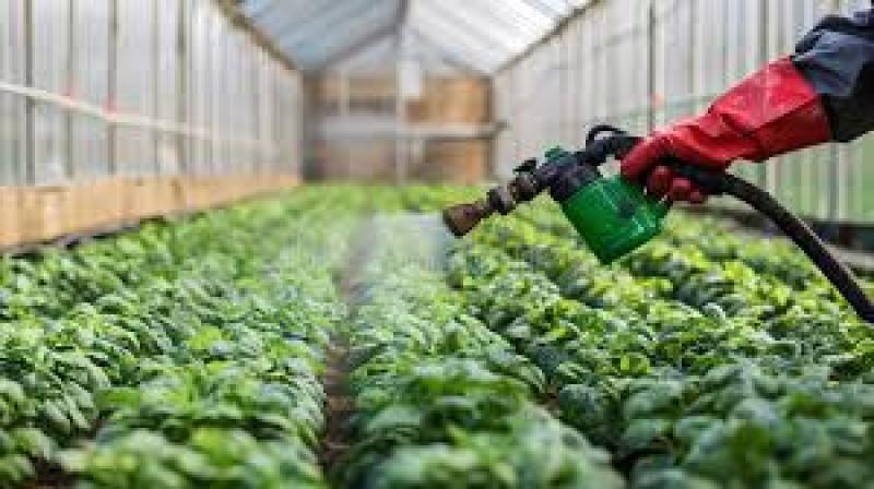 نقش کوددهی در رشد گیاهان گلخانه ای