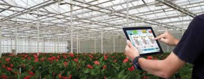 سیستم هوشمند کنترل اقلیم گلخانه