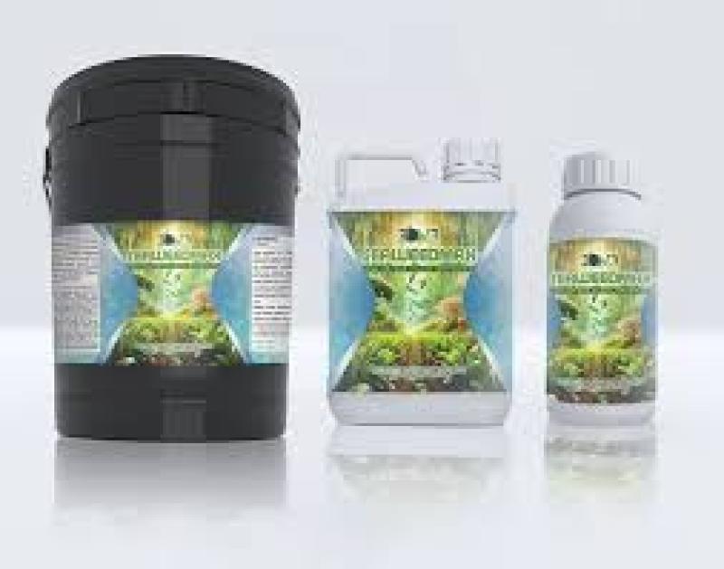 کود جلبک دریایی