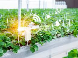 سیستم هوشمند کنترل اقلیم گلخانه