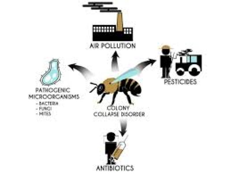 حشره کش و کنه کش کشاورزی
