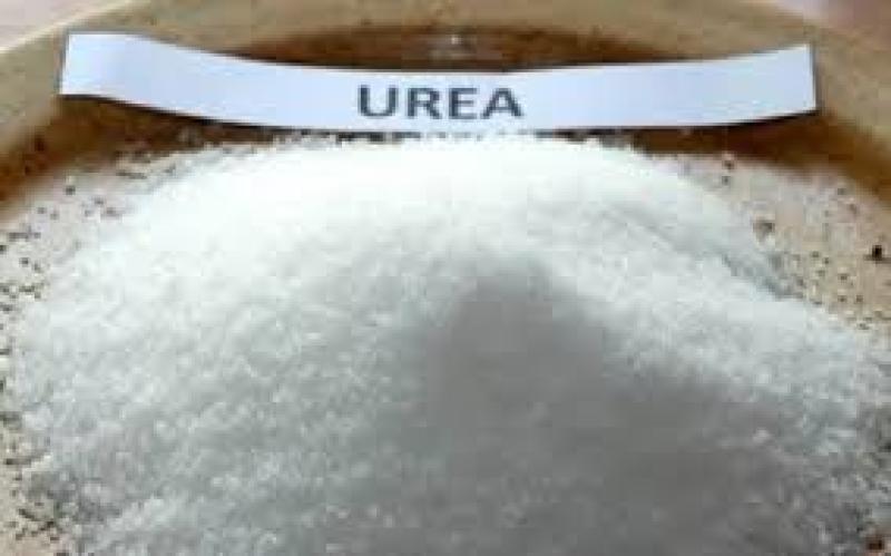 کود اوره چیست؟ بررسی خواص، ترکیبات، کاربرد و نحوه مصرف