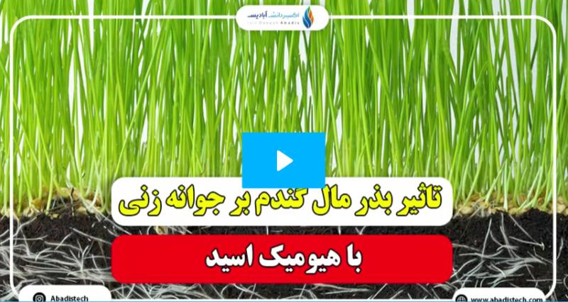 مقدار، زمان و نحوه مصرف هیومیک اسید برای هر درخت، زراعت و گلخانه