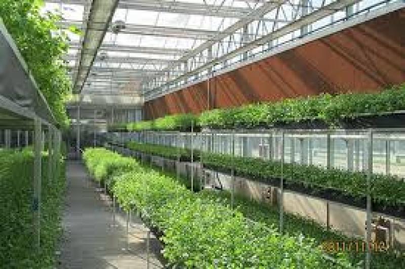 شرایط نگهداری از پدهای سلولزی