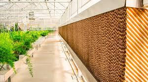 شرایط نگهداری از پدهای سلولزی