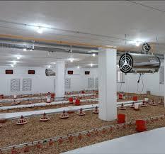 هیترهای تابشی و مزایای استفاده از آنها در مرغداری