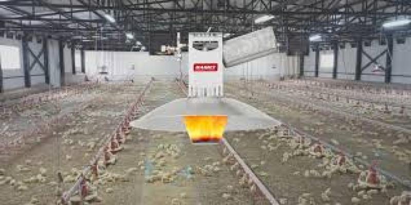 مزایا و معایب  هیترها در سالن مرغداری