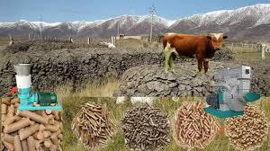 بررسی خواص فیزیکی پلتهای تولید شده از کود گاو در روش قالب بسته