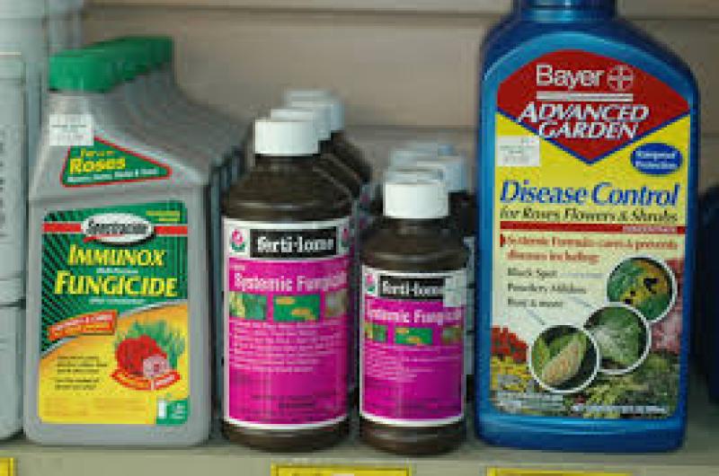 آشنایی و نحوه استفاده از قارچ کش بنومیل