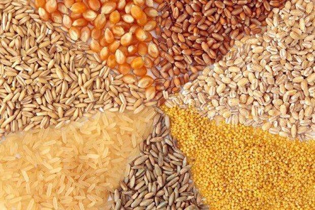 انواع تغذیه طیور انواع تغذیه طیور