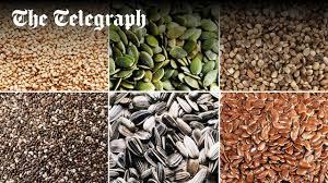 خرید بذر راهنمای جامع