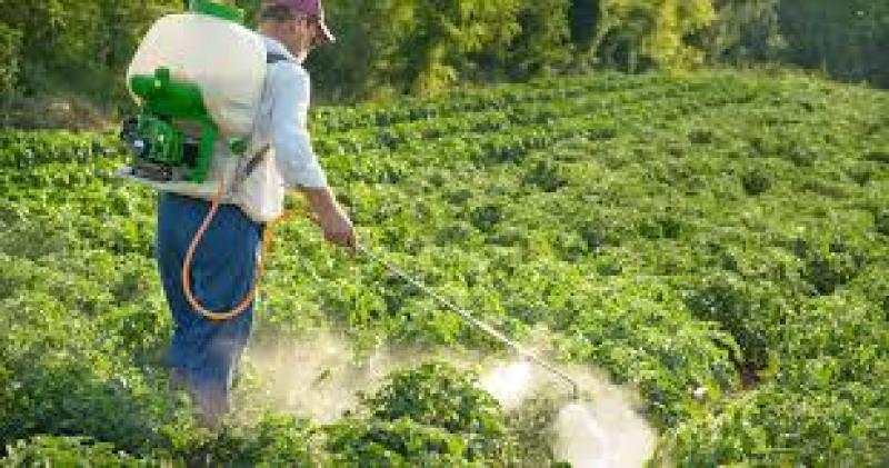 نکاتی که قبل از خرید سم کشاورزی باید بدانید