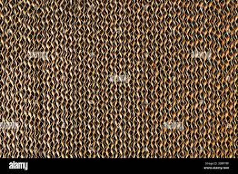 معرفی و بیان ویژگی انواع مدل پد سلولزی