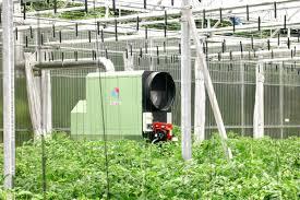 انتخاب سیستم گرمایش گلخانه: عوامل کلیدی