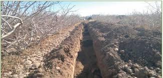 کانال‌کود و چال‌کود؛ راهکارهای حرفه‌ای کوددهی در باغات