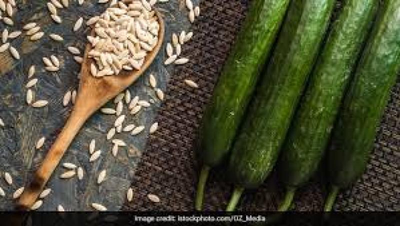 بهترین بذر خیار