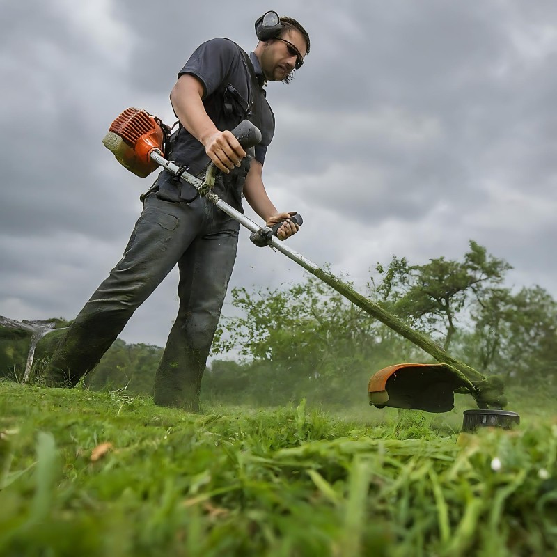راهنمای کامل خرید علف زن راهنمای کامل خرید علف زن