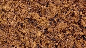 اطلاعاتی درباره خاک پیت ماس که شاید ندانید