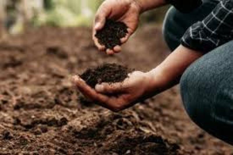 سلامت خاک و تاثیر آن بر عملکرد گیاهان زراعی
