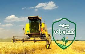 تعرفه بیمه گندم 100 درصد گران شده است‏ ؟